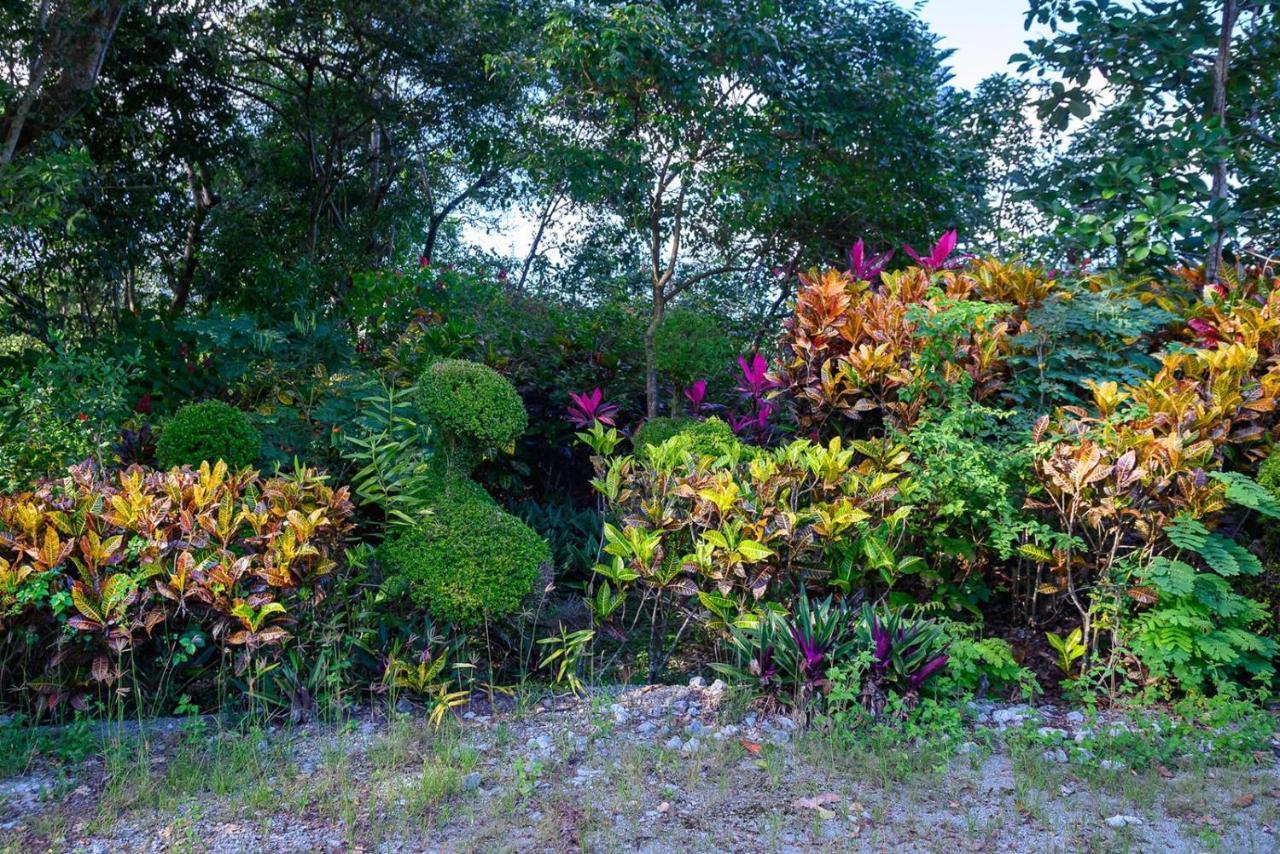 Hacienda La Huerta Puerto Plata, 1 Bdr Villa Ngoại thất bức ảnh